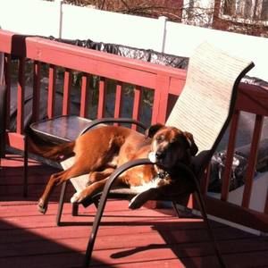 Meet your Posher, James